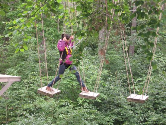 This image has an empty alt attribute; its file name is treezone-aviemore.jpg